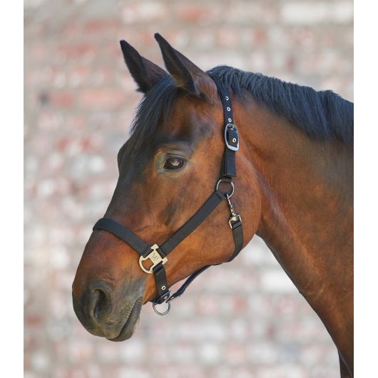 Licol cheval Gloomy double soft - Waldhausen - Equestra Licol cheval Gloomy double soft - Waldhausen - Equestra