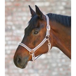 Licol cheval rosé shine - Waldhausen - Equestra