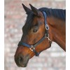 Licol cuir cheval anatomique X-Line - Waldhausen