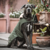 Manteau chien imperméable réfléchissant - Kentucky Dogwear