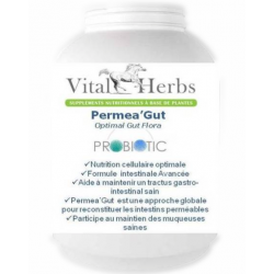 Permea Gut probiotique cheval - Vial Herbs