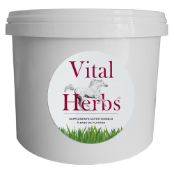 Seau vide 5 litres - Vital Herbs