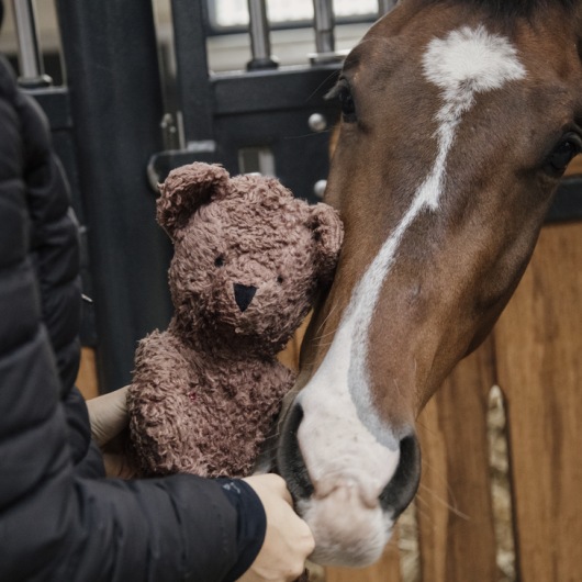 Jouet en peluche cheval en peluche cousu à la main -  Canada