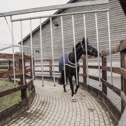 CHEMISE MARCHEUR IMPERMEABLE KENTUCKY 52106