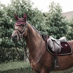 Tapis chabraque Corduroy cheval - Kentucky - Equestra