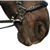 Hackamore nose part haute qualité Calli - F.r.a