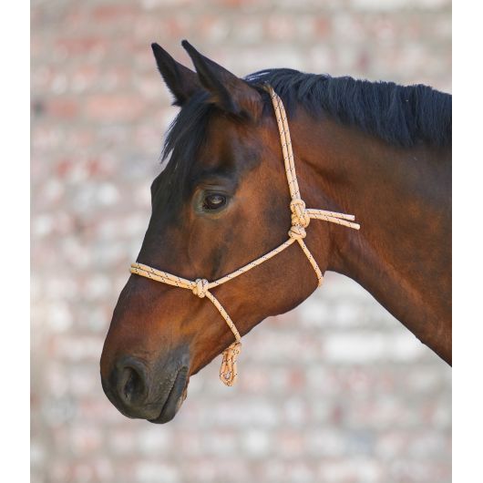 Licol éthologique à nœuds - Waldhausen