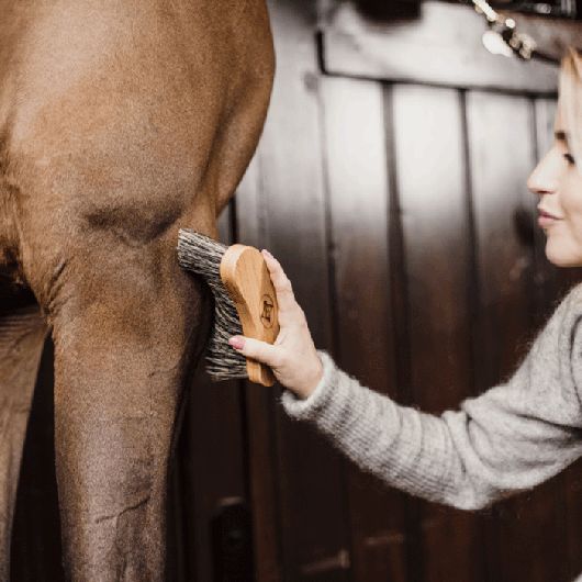 Bouchon pour cheval