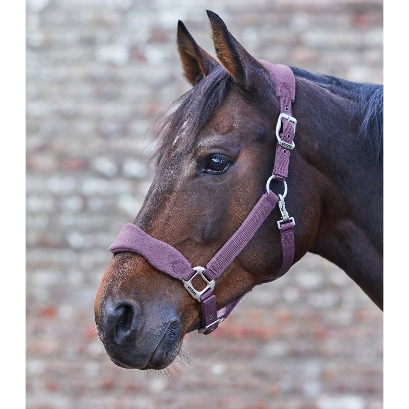 Gilet De Protection Respirant Pour Cheval - Léger, Polyuréthane, Protège épaules Et Poitrine Des Frottements à L