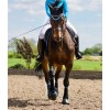 Bonnet ergonomique anti-mouche cheval Color Fusion - Woof Wear - Equestra