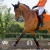 Bonnet ergonomique anti-mouche cheval Color Fusion - Woof Wear 