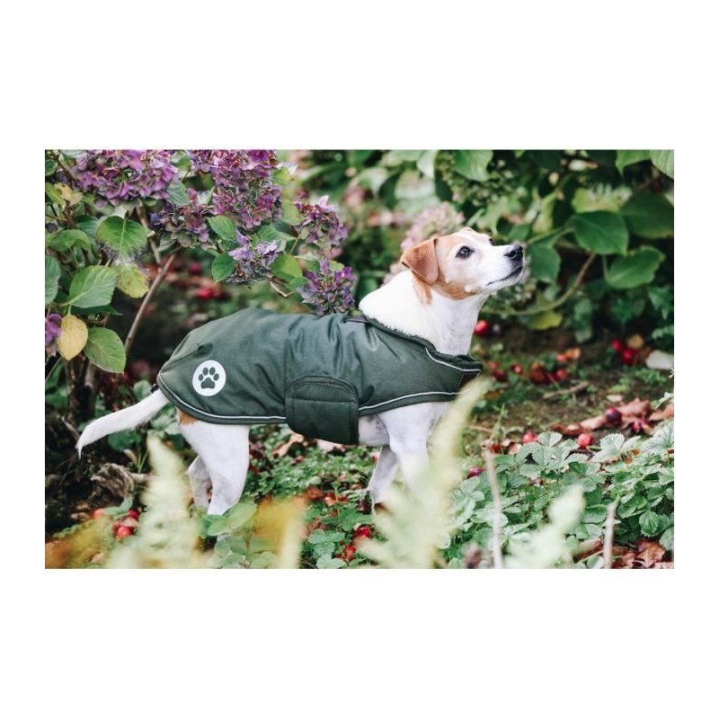 Manteau chien imperméable réfléchissant - Kentucky