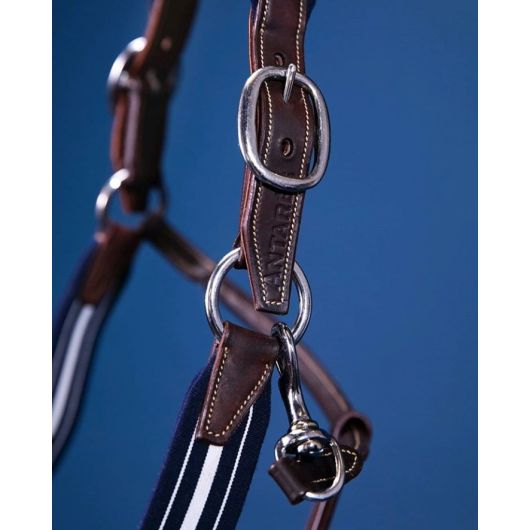 Licol Stressless Signature Antarès 