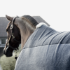 Chemise séchante cheval Heavy Fleece - Kentucky 