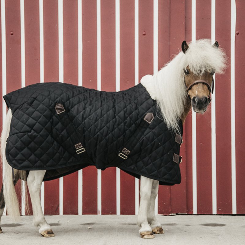 Shetland Miniature Donkey Section A 50g V2 Turnout Rug