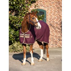 Chemise écurie transport cheval Amigo Stable - Horseware