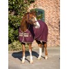 Chemise écurie transport cheval Amigo Stable - Horseware