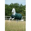 Couverture extérieur cheval Green Line 100gr en tissu recyclable - Bucas 