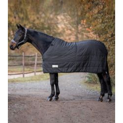Sous couverture cheval Thermo System 100gr - Waldhausen