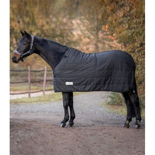 Sous couverture cheval Thermo System 100gr - Waldhausen