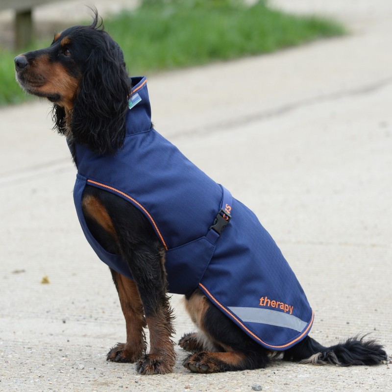 Couverture imperméable pour chien BUCAS Freedom