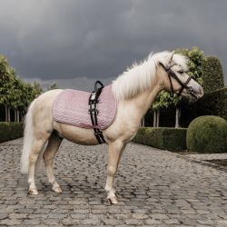 Tapis de selle poney Velvet - Kentucky 