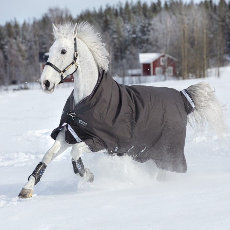 Couverture extérieur cheval 250 g Amigo Bravo 12 Wug - Horseware