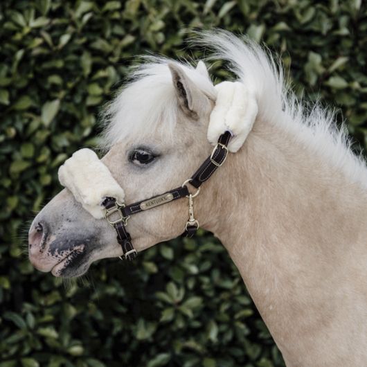 Licol shetland cuir et mouton synthétique - Kentucky Horsewear