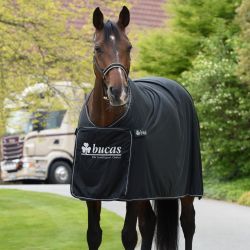 Chemise séchante Panel (avec logo) - Bucas