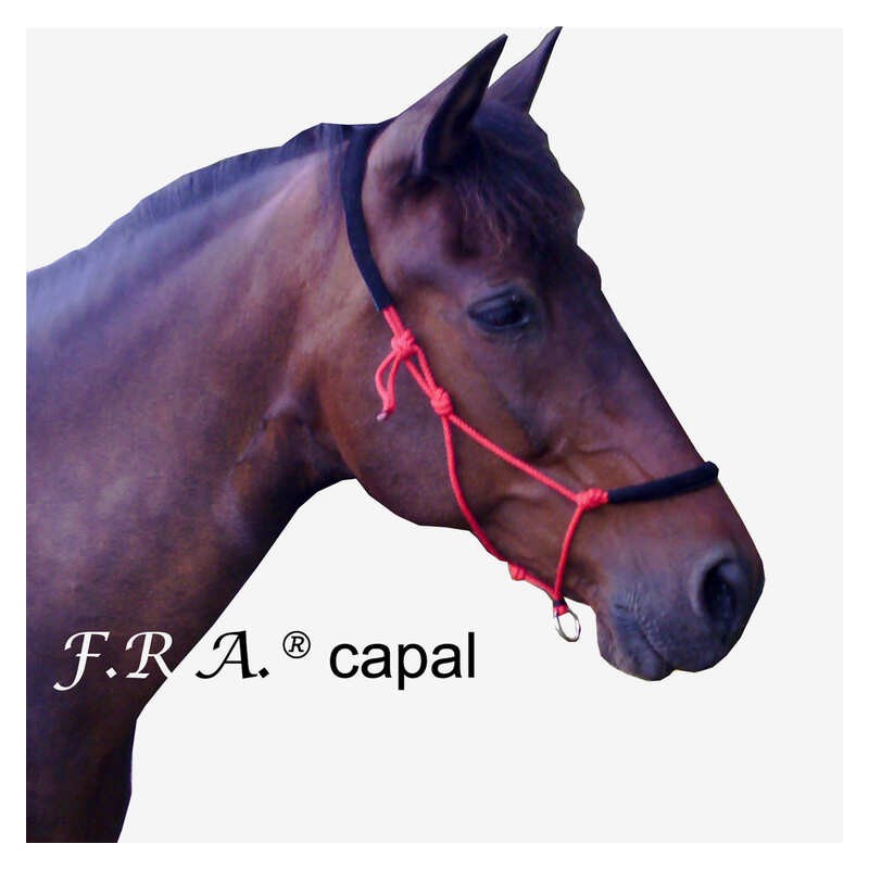 Licol de travail éthologique cheval rembourré Capal - F.r.a