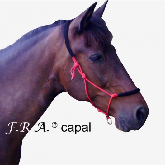 Licol de travail éthologique cheval rembourré Capal - F.r.a