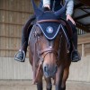 Bonnet anti-mouche cheval - Antarès