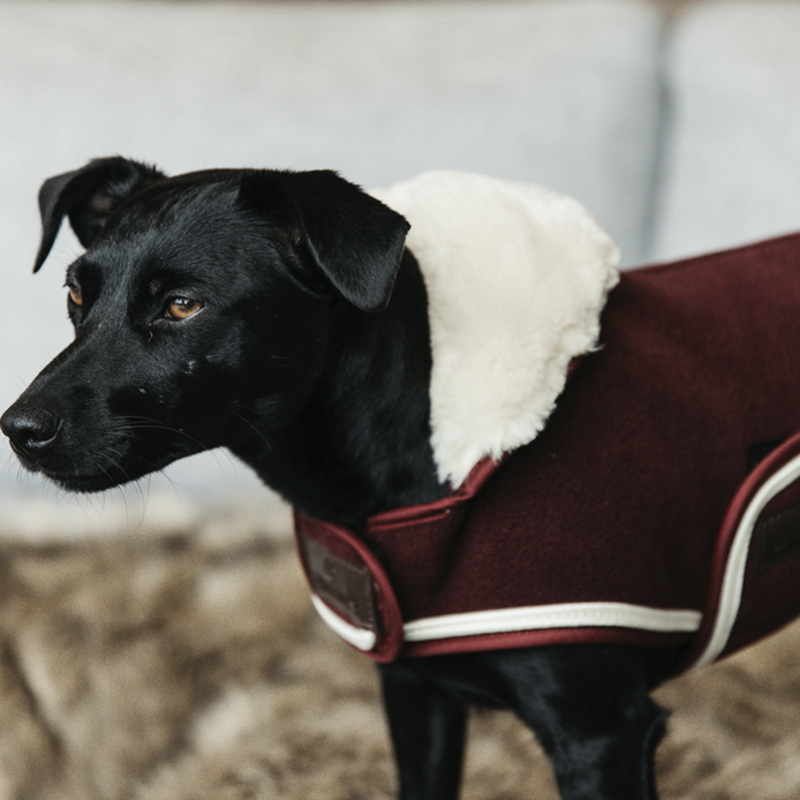 Manteau pour chien Heavy Fleece - Kentucky