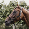 Licol cheval anatomique simili-cuir - Kentucky