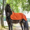 Chemise de récupération cheval Capsular (+1 baume 250ml) - Akhal