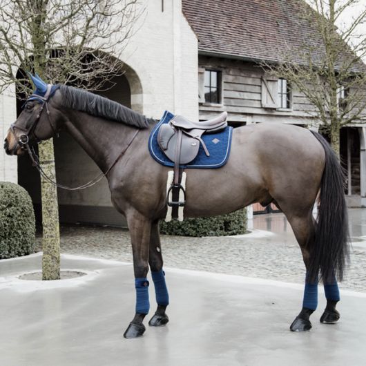 Tapis de selle cheval en velours Velvet Basic - Kentucky Tapis de selle cheval en velours Velvet Basic - Kentucky