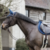 Bonnet anti-mouche cheval Wellington Velvet Basic - Kentucky