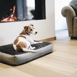 Panier pour chien Soft Pillow - Kentucky