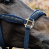 Licol en nylon et velours cheval Glitter Stone - Kentucky