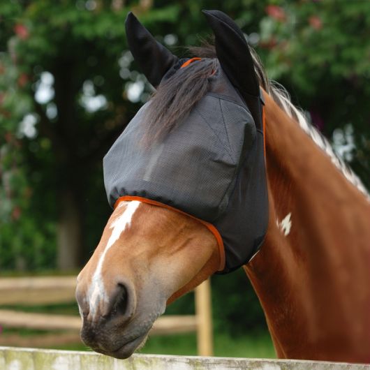 Masque anti-mouche anti-uv cheval avec oreilles Midi - Equilibrium 