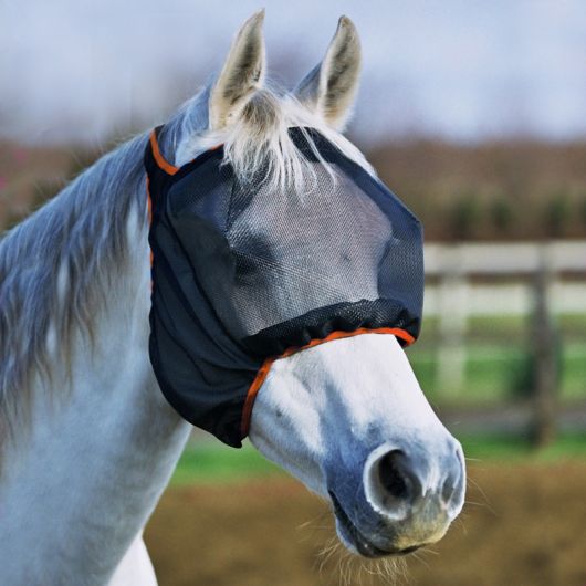 Masque anti-mouche anti-uv cheval sans oreilles Midi - Equilibrium 