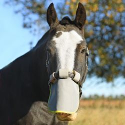 Protège-Naseaux anti-uv cheval Field Relief Protector - Equilibrium