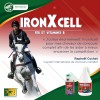 Vitamines cheval de sport 1,2 L Iron X Cell - Trm