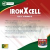 Vitamines cheval de sport 1,2 L Iron X Cell - Trm