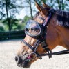 Masque lunettes de protection cheval Evysor - Equick