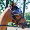 Masque/lunettes de protection cheval Evyzor - Equick 