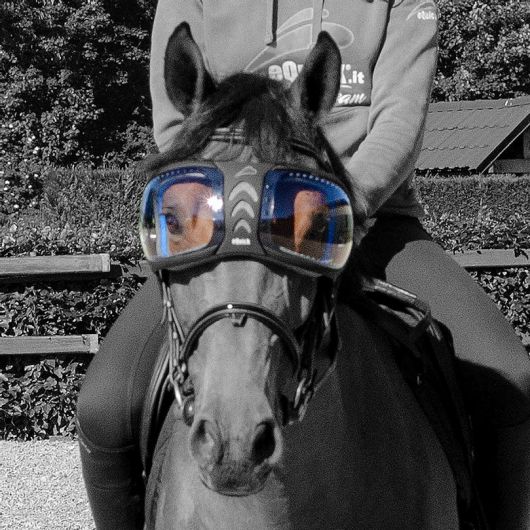 Verres de remplacement masque Evyzor - Equick Verres de remplacement masque Evyzor - Equick