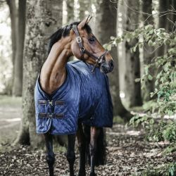 Couverture écurie cheval 0gr - Kentucky  