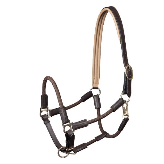 Licol cheval en cuir corde Nevada - Waldhausen Licol cheval en cuir corde Nevada - Waldhausen