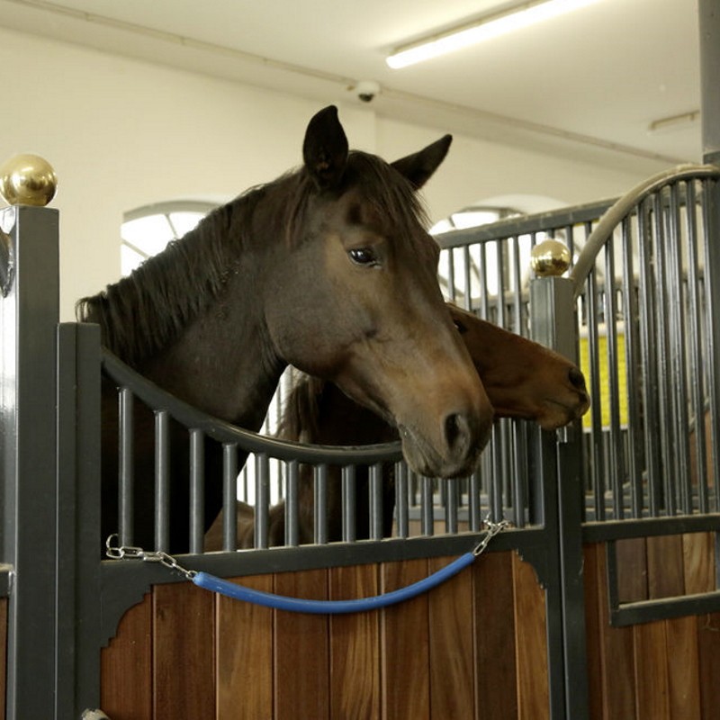 Porte Couverture cheval